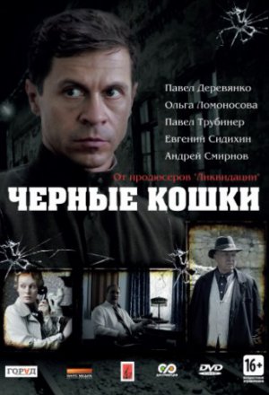 Черные кошки (2013)