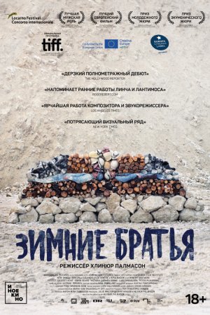 Зимние братья (2017)