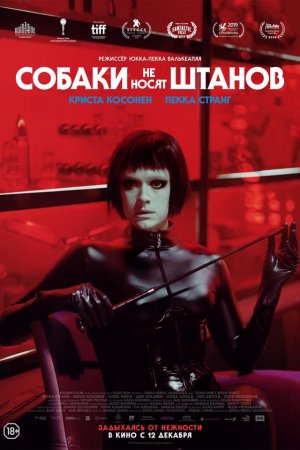 Смотреть Собаки не носят штанов (2019) онлайн