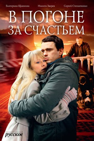 В погоне за счастьем (2009, сериал)