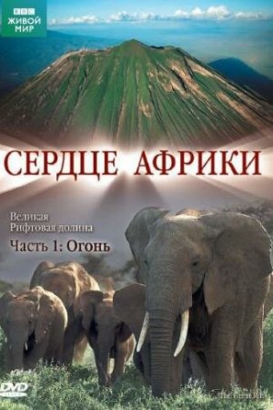 Смотреть BBC: Сердце Африки (2010, сериал) онлайн