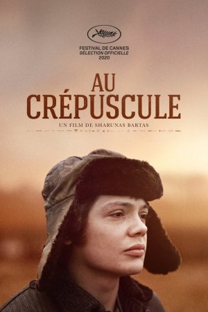 В сумерках (2019)