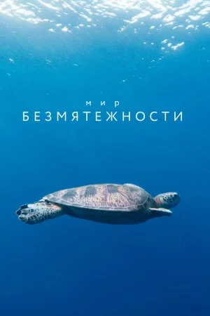 Мир безмятежности (2020, сериал-медитация)