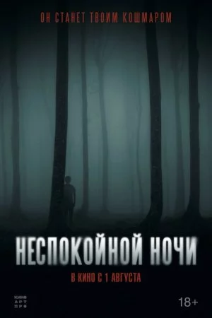 Неспокойной ночи (2023)