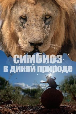 Симбиоз в дикой природе (2023, сериал)