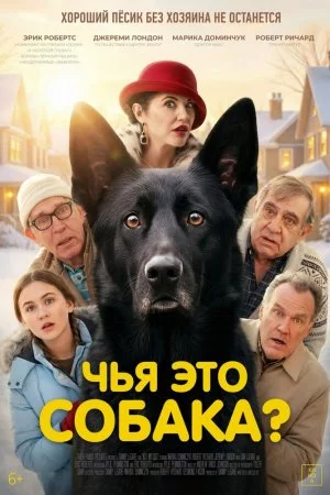 Смотреть Чья это собака? (2025) онлайн